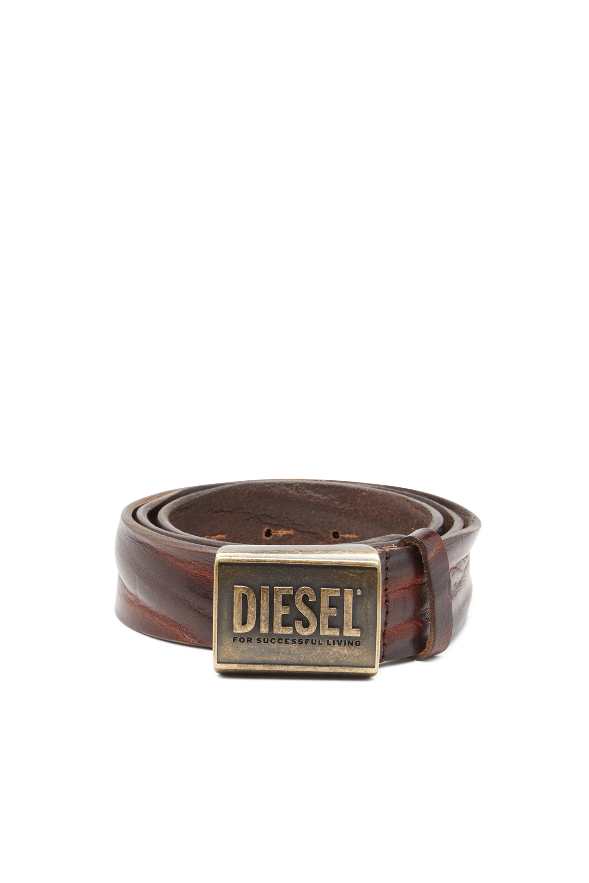 diesel plaque belt