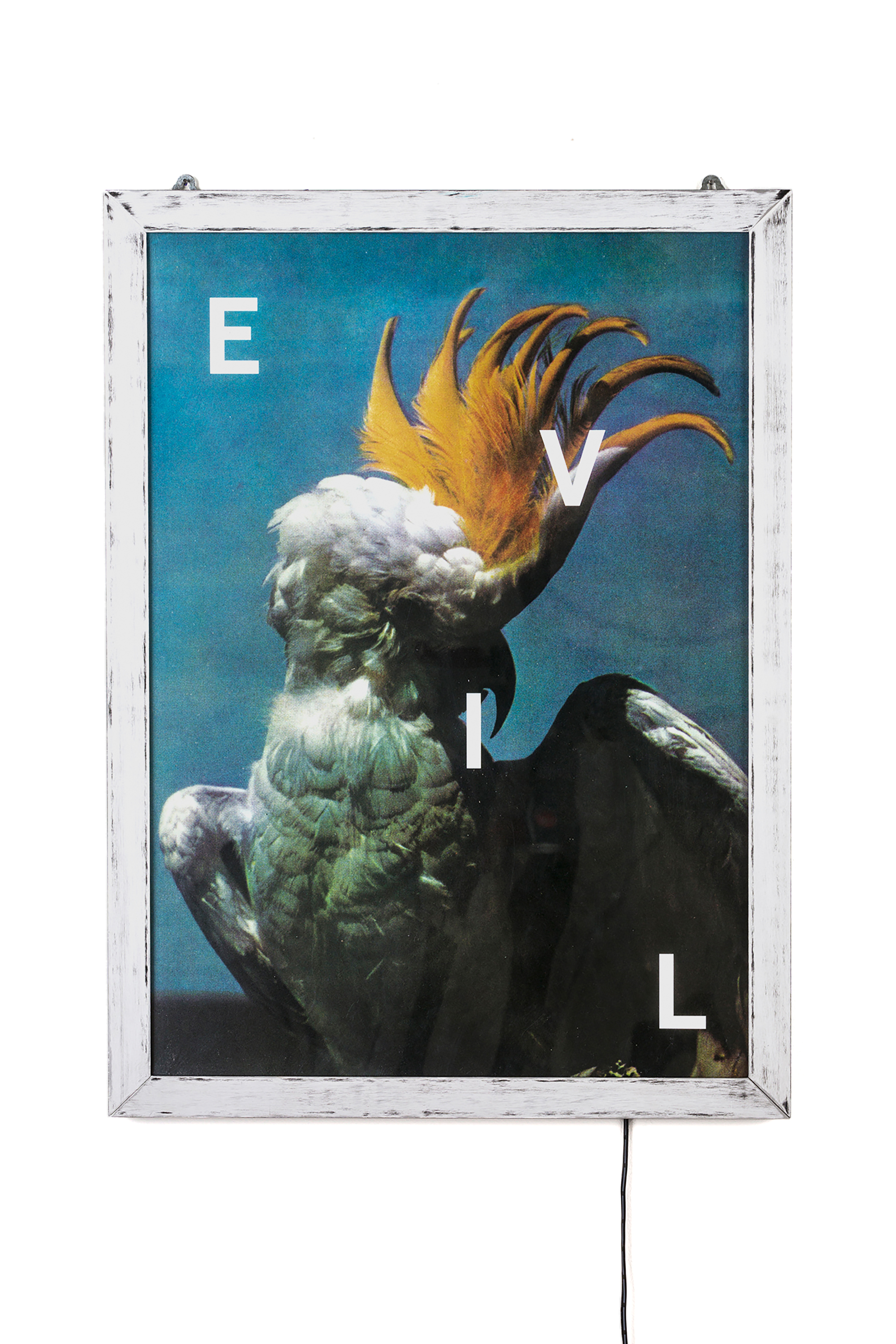 Diesel - 11021 FRAME IT!, Unisex's Poster "Evil" in White - 1