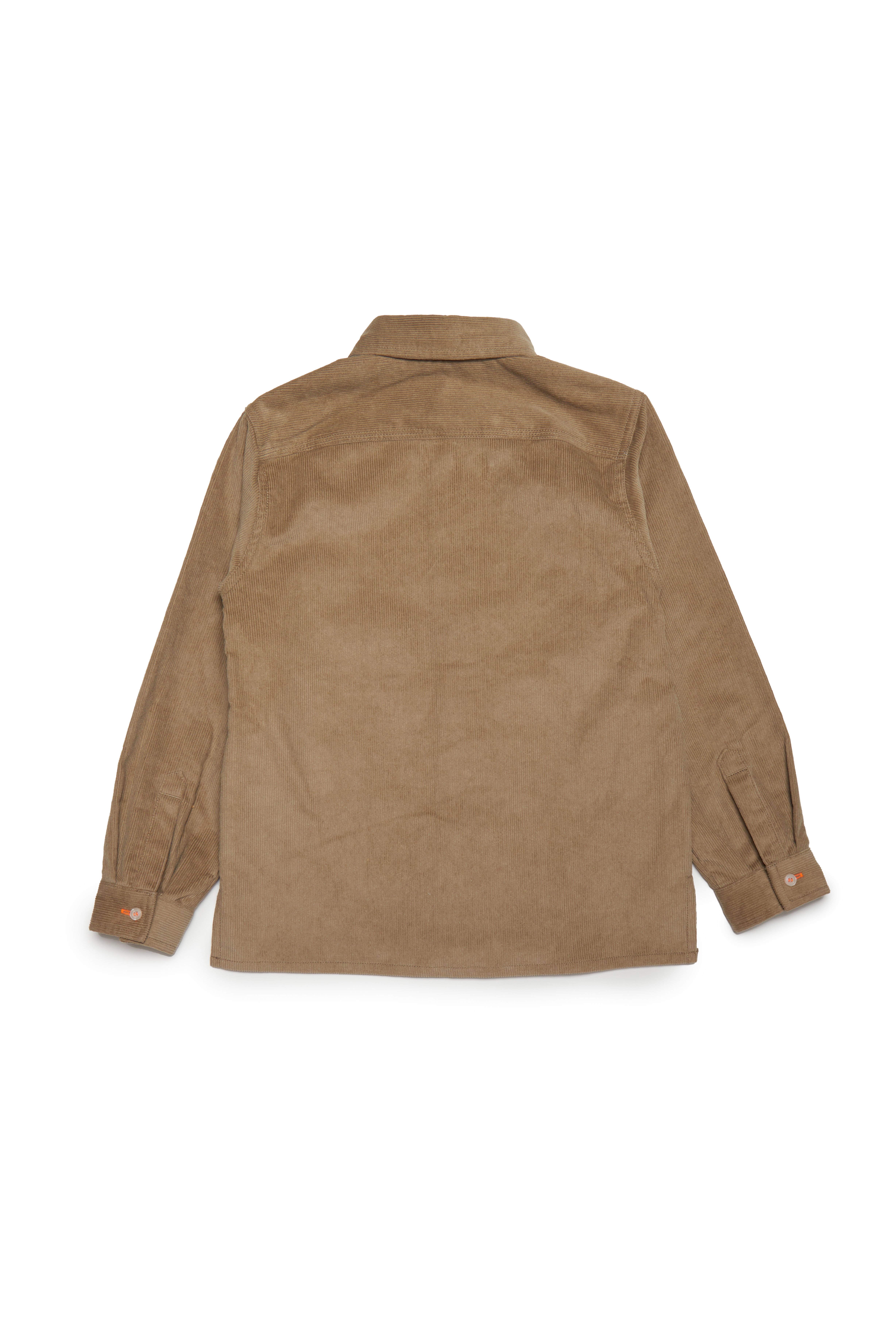Diesel - CVALLI, Light Brown - Image 2